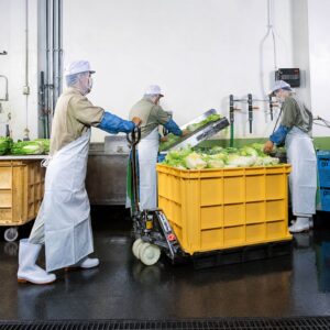 Xe nâng inox có khả năng chống oxy hóa cực cao, chịu được môi trường có độ ẩm lớn.