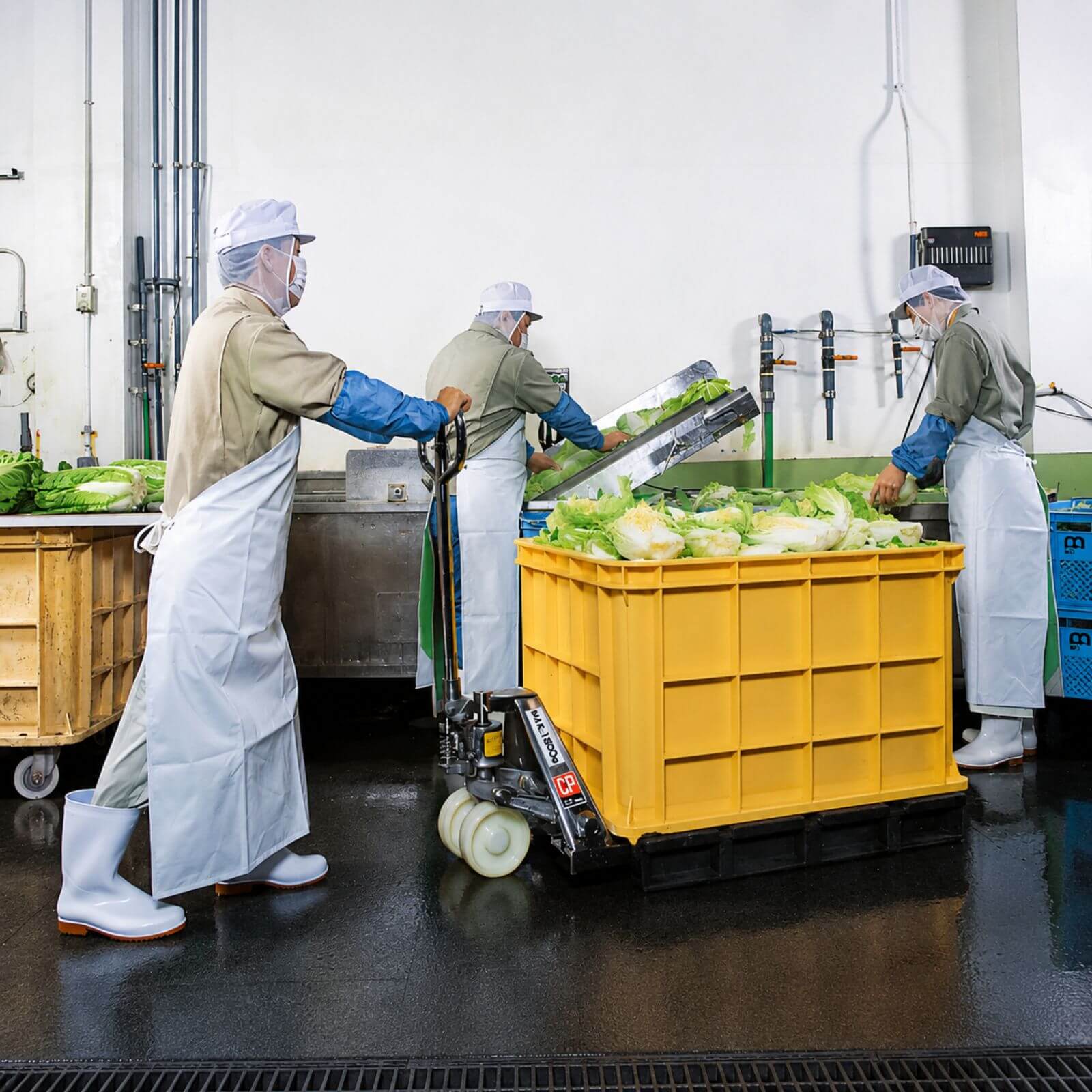 Xe nâng inox có khả năng chống oxy hóa cực cao, chịu được môi trường có độ ẩm lớn.